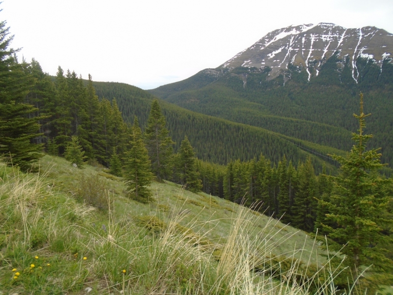 Skogan Pass