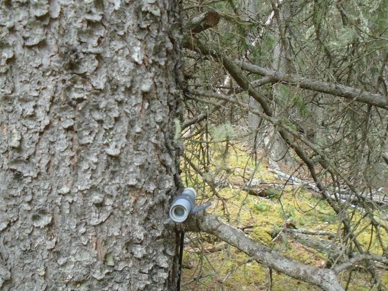 Camera on Skogan Pass