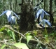 Skogan Pass