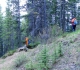Skogan Pass