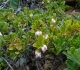 Skogan Pass
