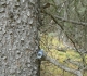 Camera on Skogan Pass