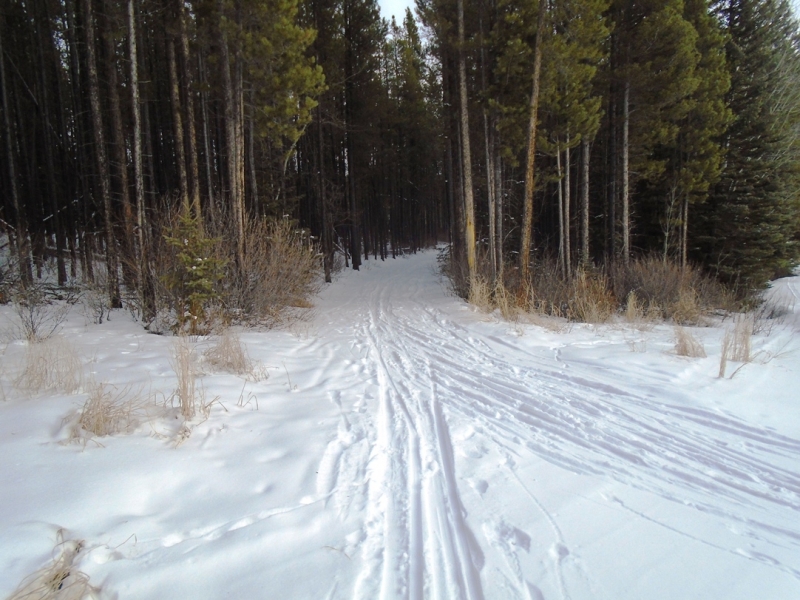 Skogan Pass