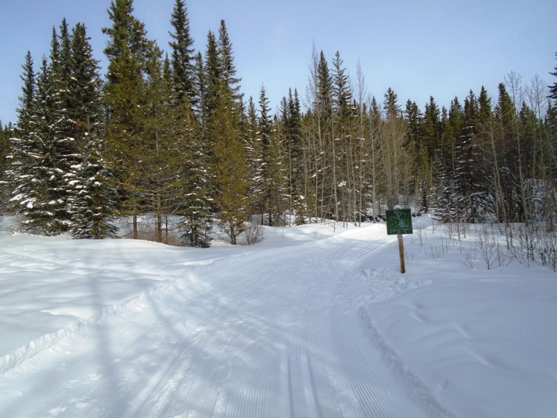 Skogan Pass