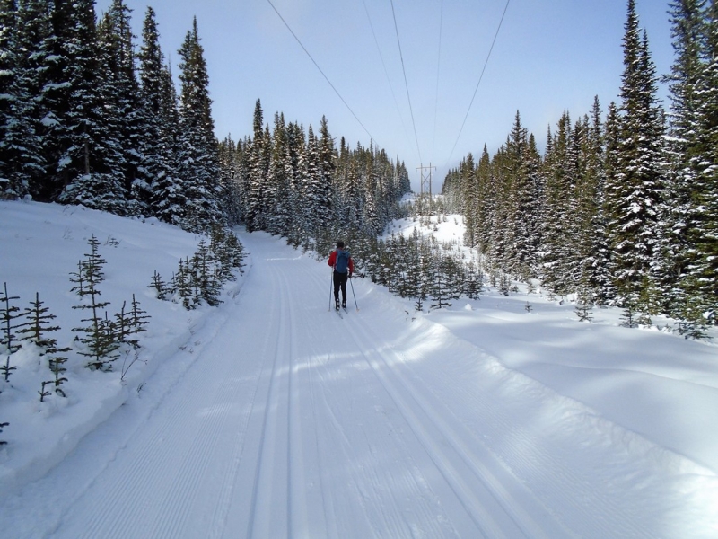 Skogan Pass