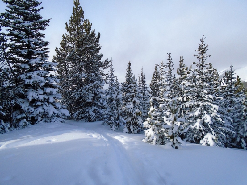 Skogan Pass