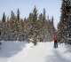 Skogan Pass