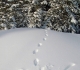 Skogan Pass