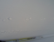 Coyote tracks on Skogan pass