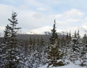 Skogan pass summit