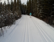 Lower Skogan pass