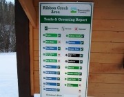 Grooming report
