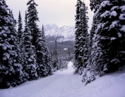 Smith-Dorrien Ski Trails