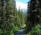 Goat Creek