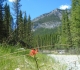 Goat Creek