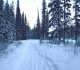 Connector trail