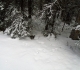 Grouse on Spray River West