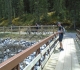 Spray River West