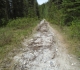 Spray River East