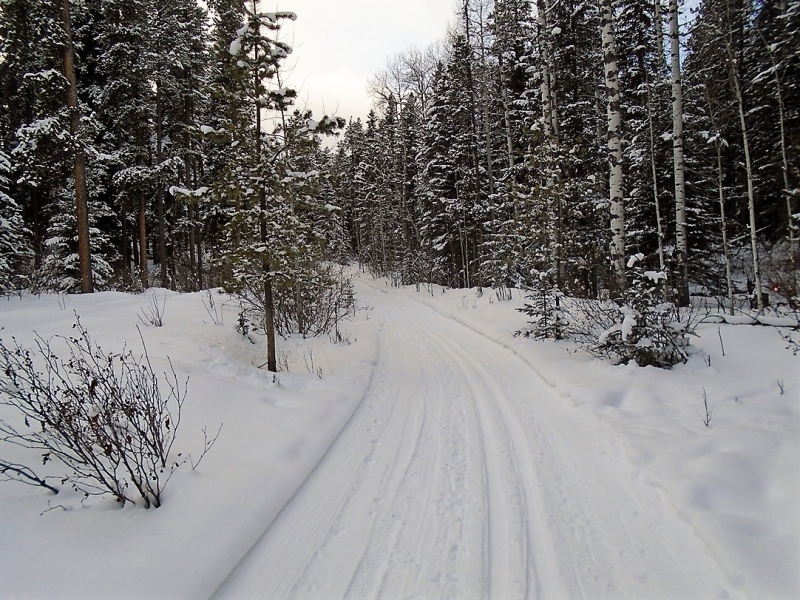 Telephone trail