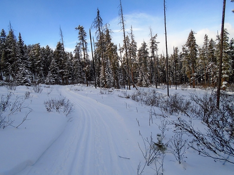 Telephone trail
