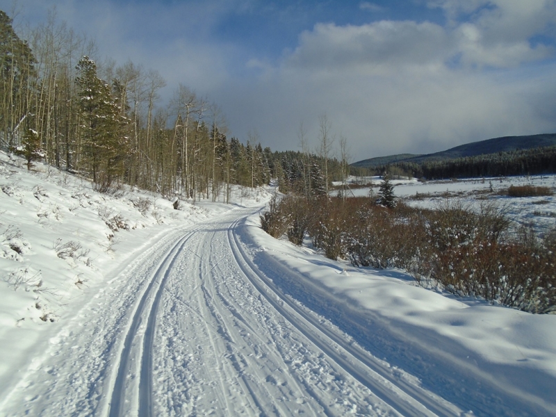 Moose loop