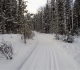 Telephone trail