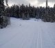 Telephone trail