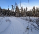 Telephone trail