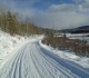 Moose loop