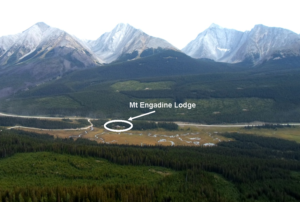 Engadine