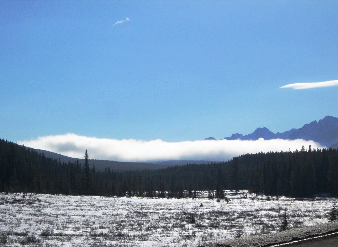 The cloud