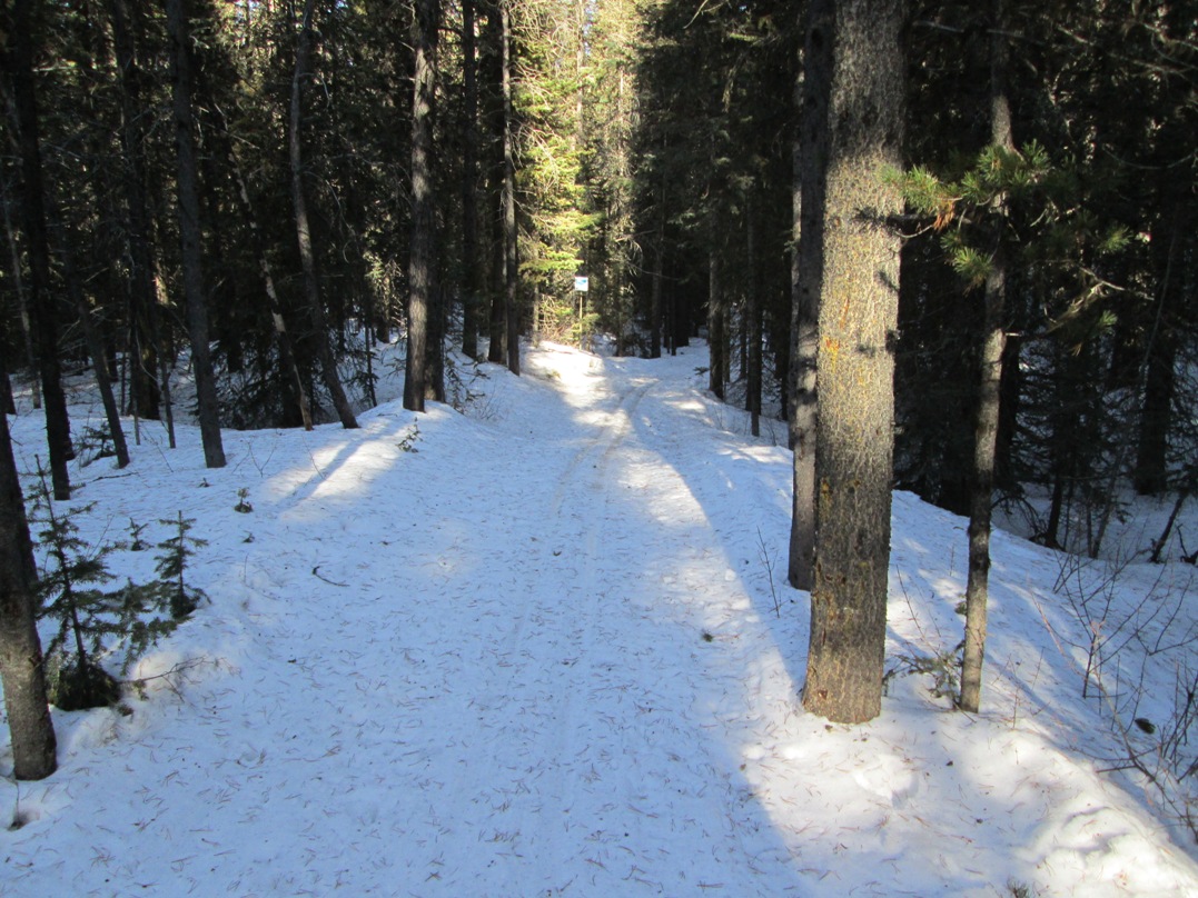 South Boulton Creek