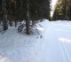 Elk Pass