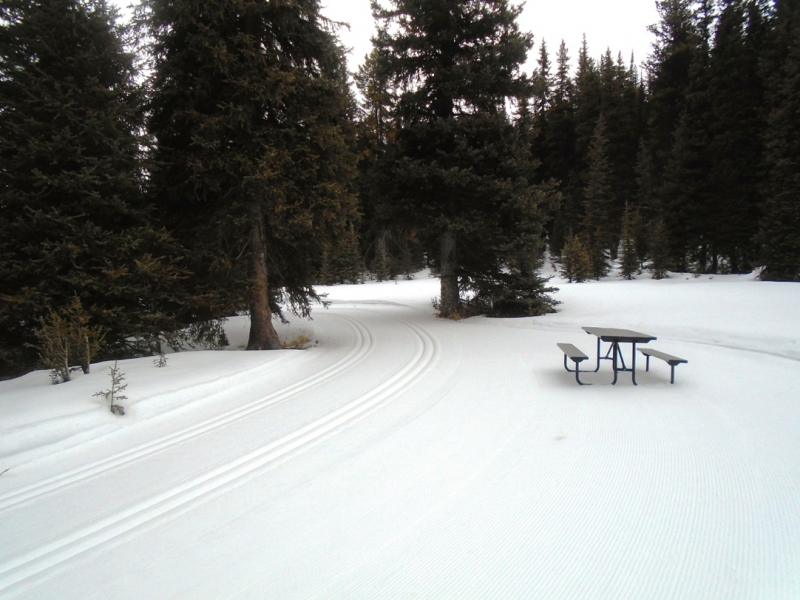 Tyrwhitt picnic table