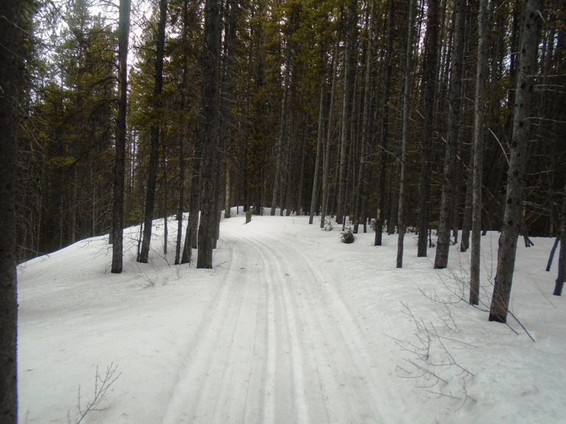 Moraine