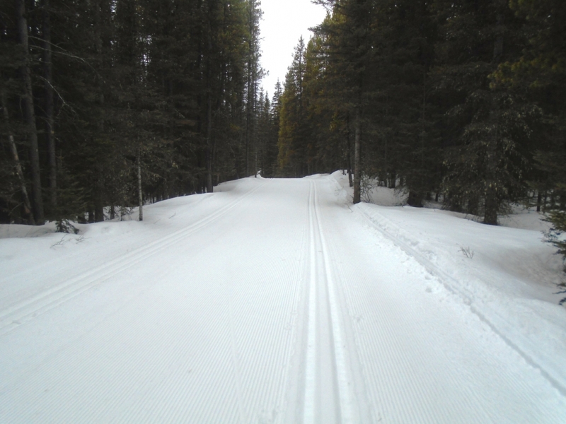 Elk Pass