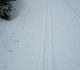 Wolverine tracks on Pocaterra