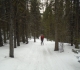 Moraine