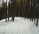 Moraine