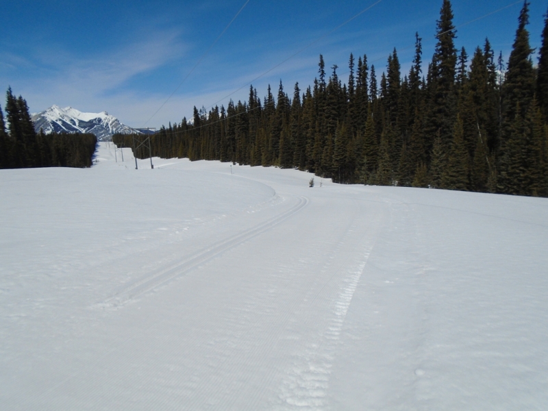 Hydroline