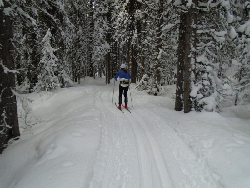 Fox creek