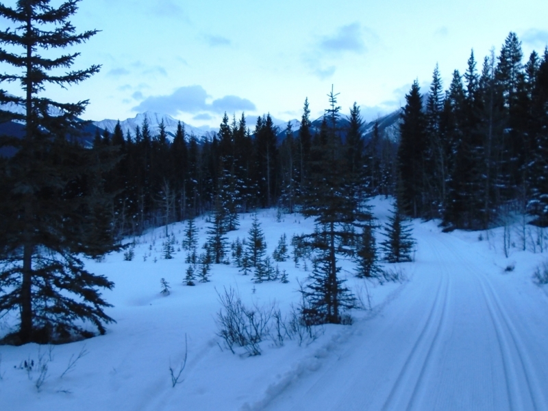 Aspen