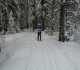 Fox creek