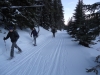 Snowshoers and skiers sharing the trail on Elk Pass