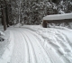 Boulton Creek