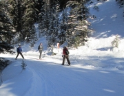Hydroline - Elk pass junction
