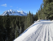 Moraine