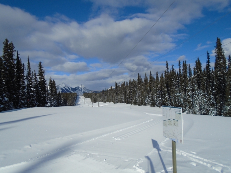 Hydroline