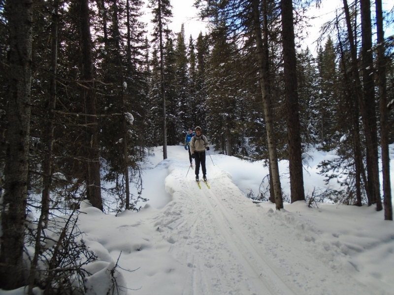 Fox creek
